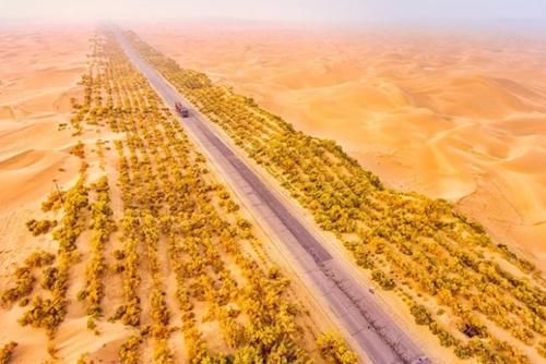  [宽达]最难修的沙漠公路，修建在流动沙丘上，绿化带宽达78米