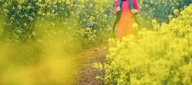 “最美乡村”的称号的婺源花开得美爆了！