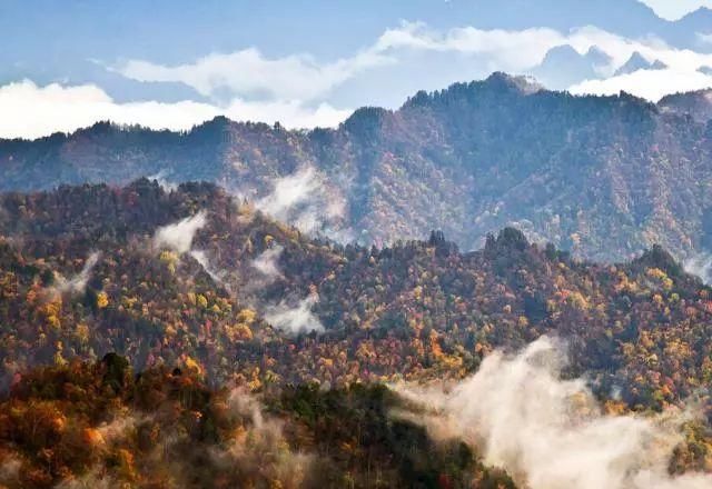 秦岭深藏敢与九寨沟媲美的地方！有条惊艳的自驾公路