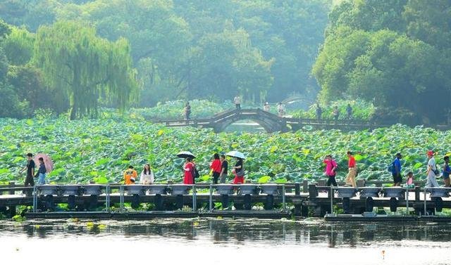 杭州最好的季节来啦！赏花地图收好