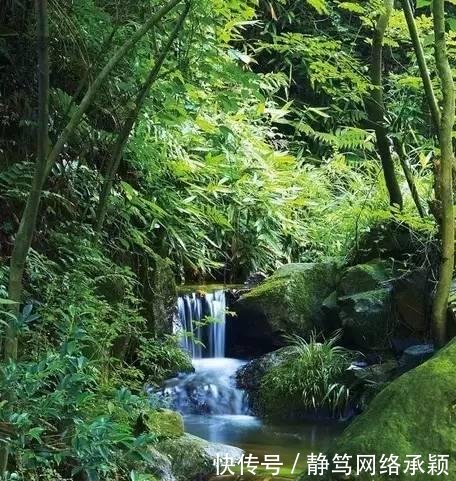 这座低调小城承包了浙江最美的春天, 清明去过两三天乡下生活~