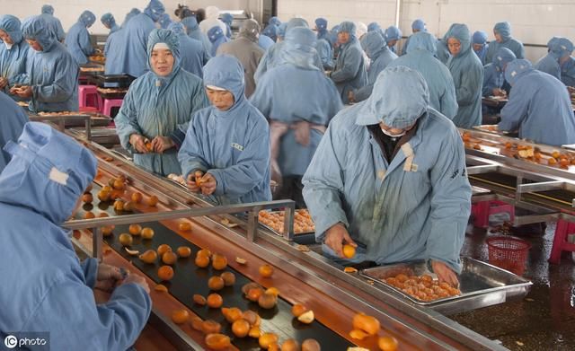 马云说未来赚钱的行业：藏在农村的暴利小生意