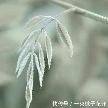  卡其色@今年春夏最流行的5组配色，穿对了显白又显贵！