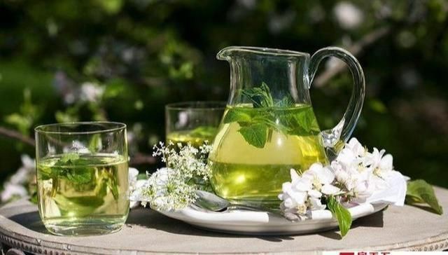  泡茶@家里养薄荷，注意这3点，泛滥成灾满花盆，能吃能喝泡茶好