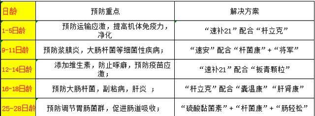  利润：养殖1000只鹅成本投入需要多少钱？有利润吗