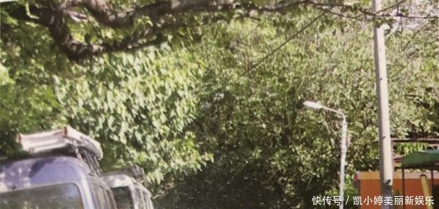  色彩■新海诚是如何用色彩来渲染出比现实更美的景色的！