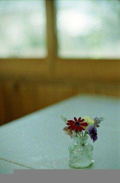 关于岁月流逝的句子语录, 拿去发朋友圈吧!