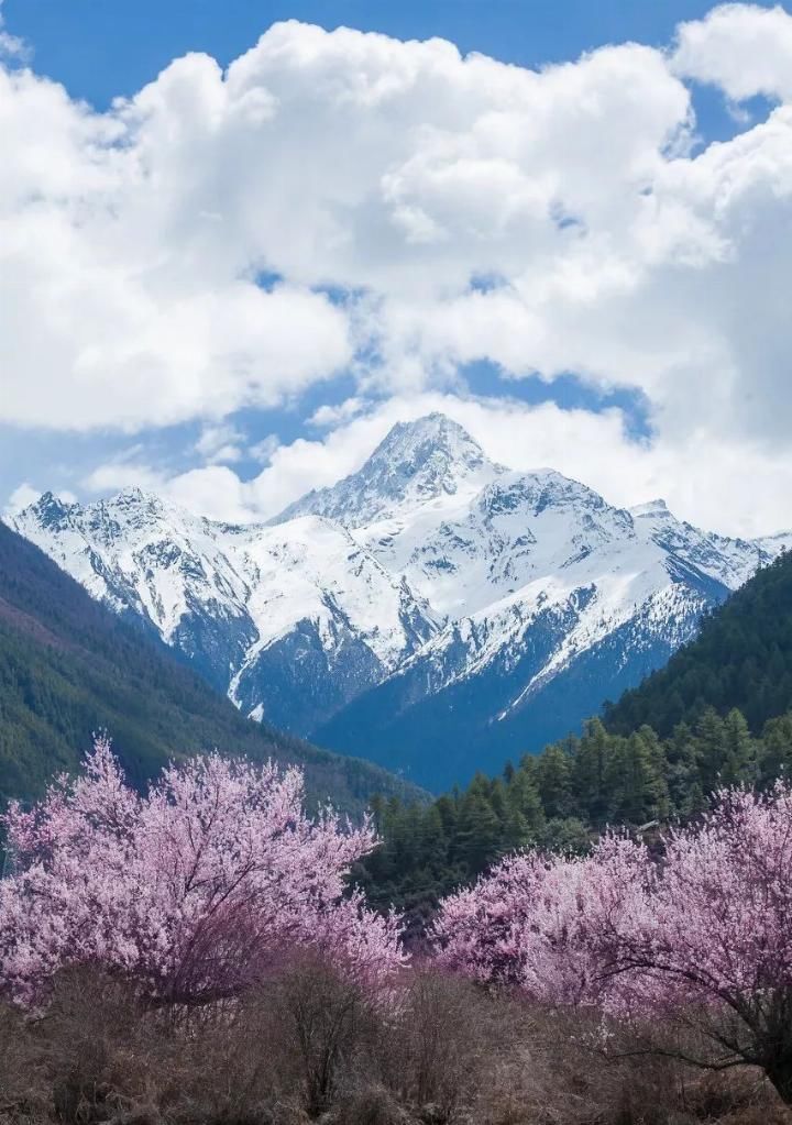 我的后半生，再穷也要去旅行