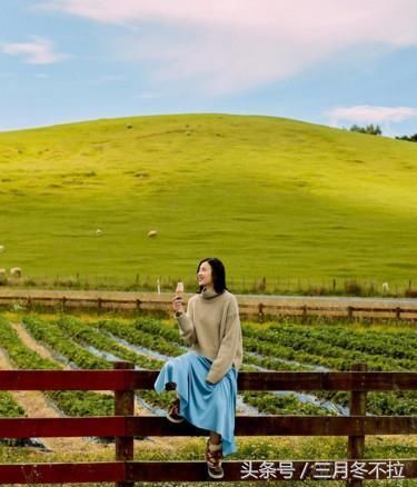 街拍宋佳时尚又霸气,网友:小宋佳坐姿真爷们,我服了