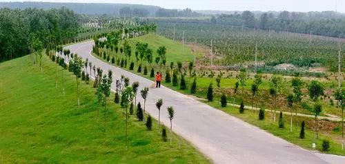  #洪泽湖#为什么近些年很少听说黄河发洪水了？