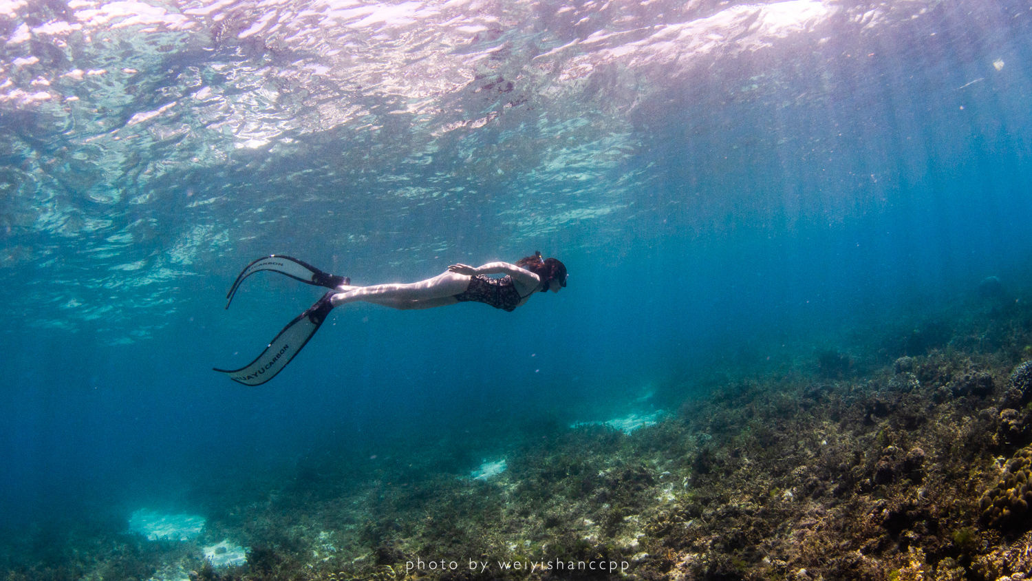 去薄荷岛学自由潜，那是潜入深海的快落呀！