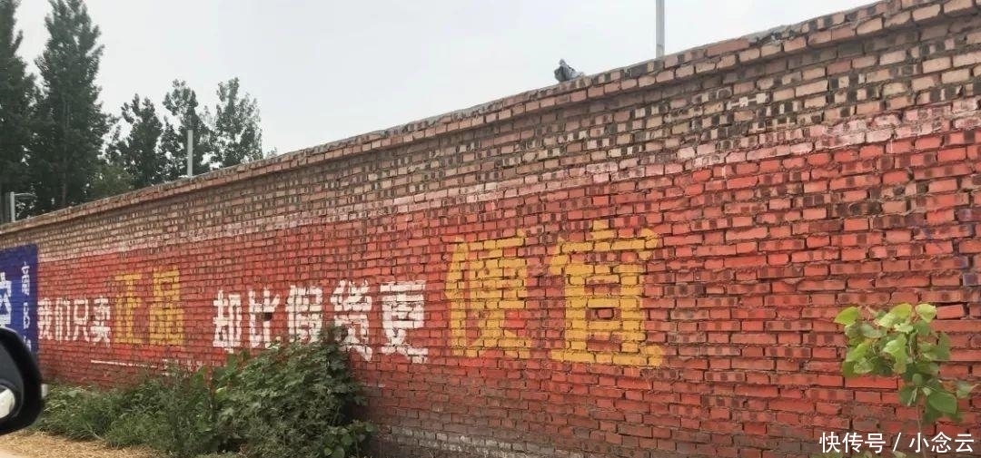  [三株口服液]互联网刷墙人：找墙半小时、刷墙半小时，一天赚100