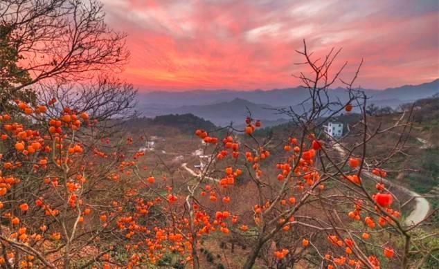 徽州秋日最美省道S215，自驾2小时前往，私藏众多秋色