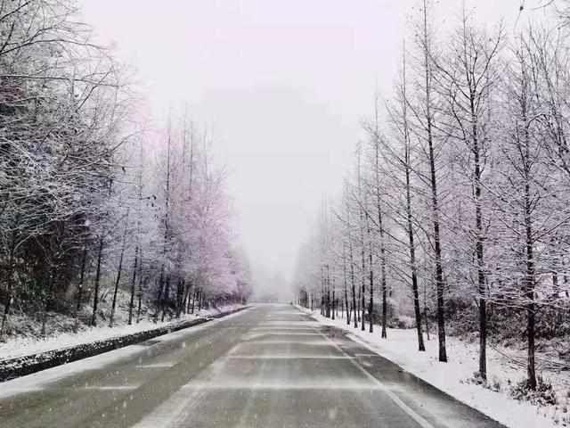 光雾山换上冬装啦！开启巴中“雪国”模式