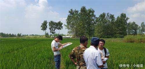 下月起，这两件事需要农民朋友重视，尤其是第二件，错过要等40年