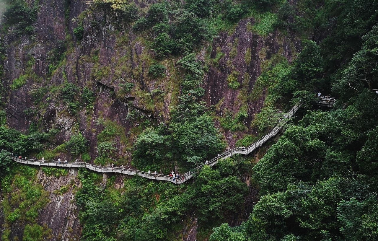 冰柜抬千米山顶花时2小时 老伯每人40元工钱 被外国朋友夸勤劳