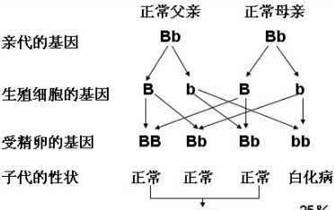  初春@乳白色甜美又晶莹剔透，灰黑色稳重又显高，2020年初春那么穿經典还时尚潮流