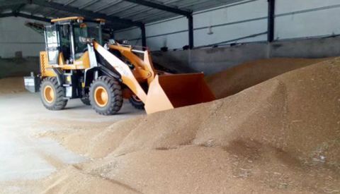  农户@年前小麦价格能涨到1.2元/斤吗？看了这些地区的价格，农户