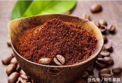  「酒渣」泡酒后的酒渣能当花肥吗