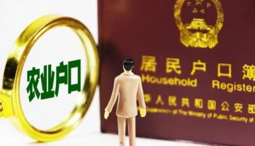  「将要」近期，这三个证件将要停止办理，农民可能损失几十万！