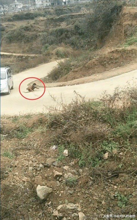 汽车：云南巧家水泥路成游乐场，小孩与汽车迎头相撞，网友称太危险了