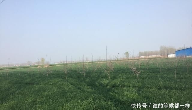 「人生」古人说“酒色财气”人生四戒,别被古人所蒙骗了!