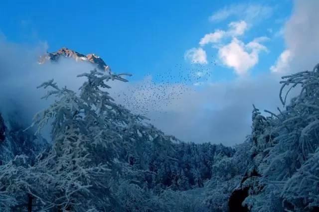 论雪景:看过来、不得不服川藏线