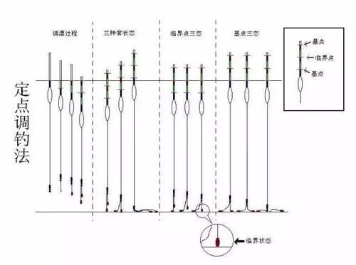  『真实』这样钓底，每一口信号都是真实的