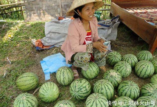 越南西瓜面临无人收购, 只因中国人到老挝租田