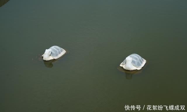 亚洲最大的蜡石矿储量亿吨，副产品泰顺石是雕刻极品，却鲜为人知