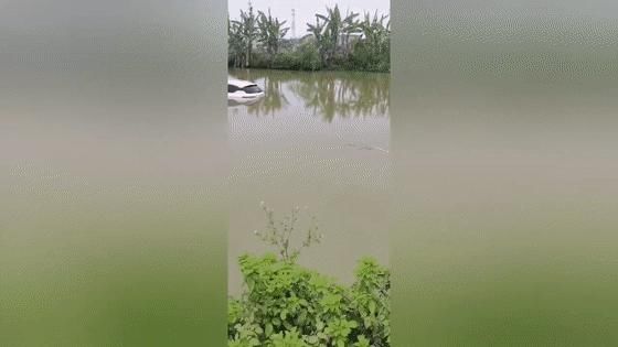 「连人」斗门男子珠海大桥边钓鱼连人带车冲下河,10万元打水漂!