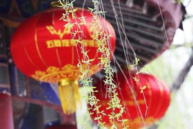 三月春暖花开，又到了寻花问柳的季节!