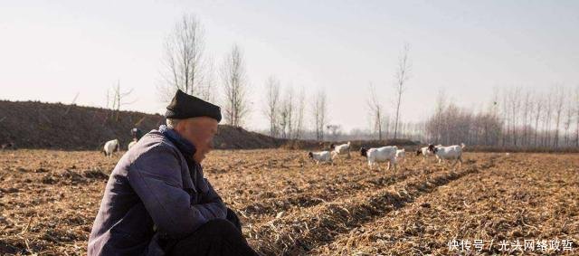  农民|农村新的变化，合村并镇要来了专家农民或将面临3个难题