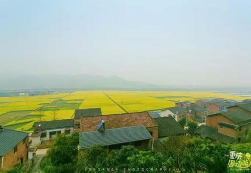花开成海！再过一周重庆将美翻全国，14处美景玩转这个春天！