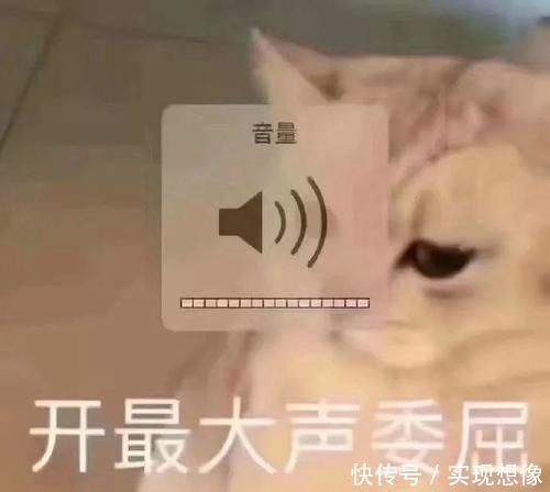  [粉底]50块的彩妆画出500块的质感？这些化妆工具功不可没！