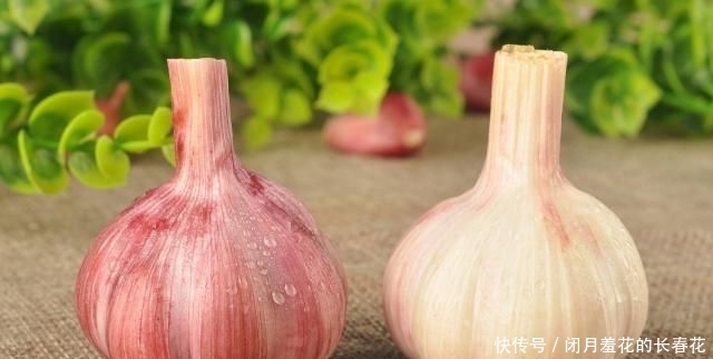 『常见』用这种常见东西做鱼的饵,学会了这种方法,连杆上鱼不是梦