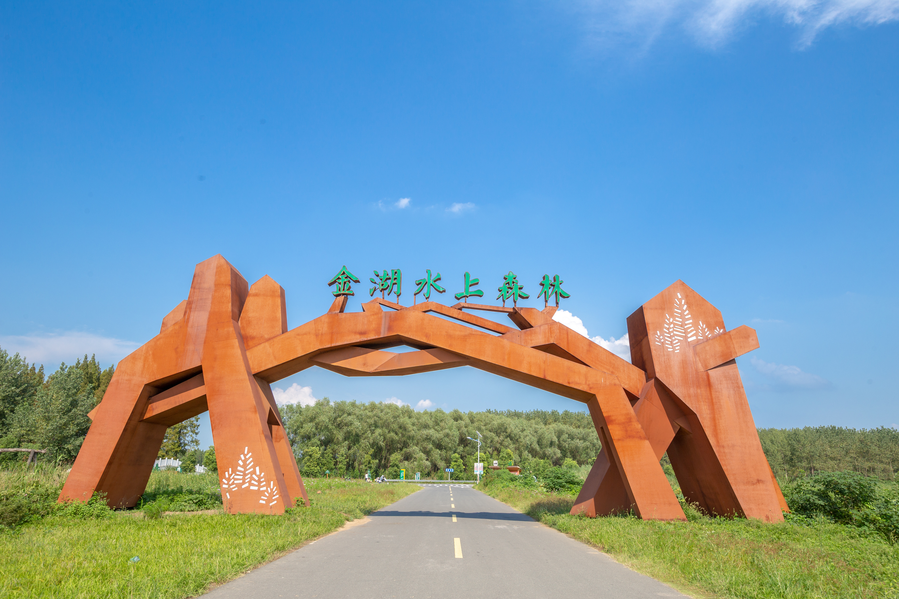 江苏罕见的水上森林,拥有万亩水杉林,是座名副其实的天然氧吧