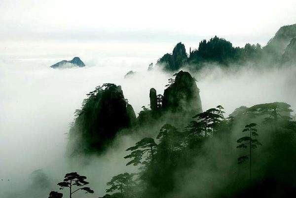 中国春天一定要去的景区，强调一定要去！