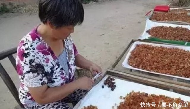 农村烂在树上没人要的恶心东西，拉到城里卖，被城里人一扫而空！