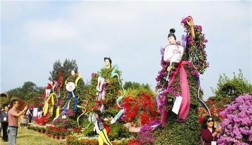  「造型产品」时下最流行的三角梅6大造型，造型精美，开花繁茂，把花开了花海