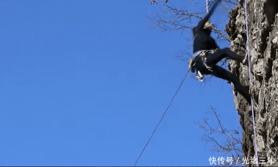 鼻子■鞠婧祎这是第几次do鼻子了？还没消肿就走红毯意外艳压全场！