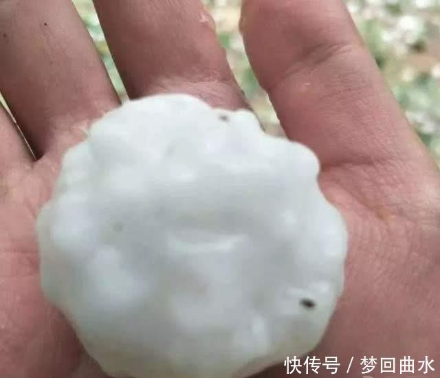 山东冰雹，像鸡蛋一般大，却让消费者看清各大车企“真面目”
