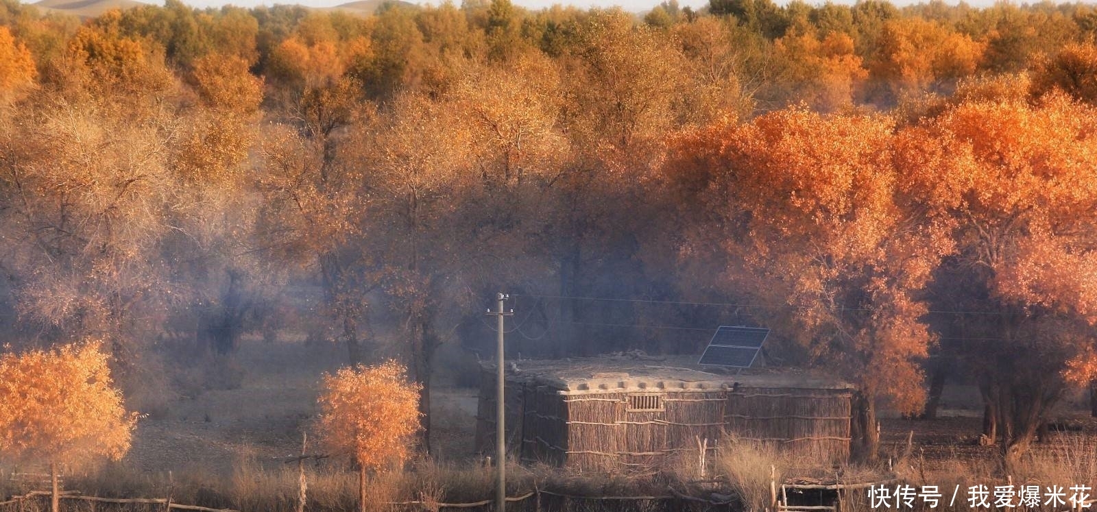  绿洲就■我国范围最大的村庄，面积相当于70个澳门，开车出村要