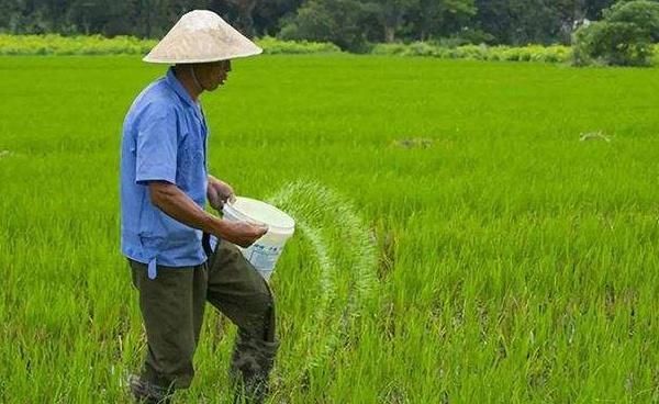 今年8月起，农村5种开销大概率要涨价，家家都涉及，农民早准备