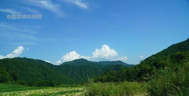 自驾游眉凤路到太白山以西第一高峰玉皇山，人少景美你一定要来哦