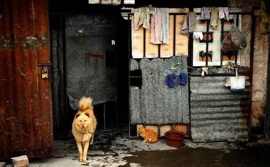 原来麻将都是这样制作的，大开眼界