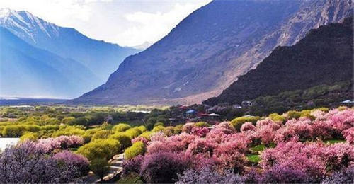 3月看桃花我想这个地方应该是绝大多数人梦中的天堂