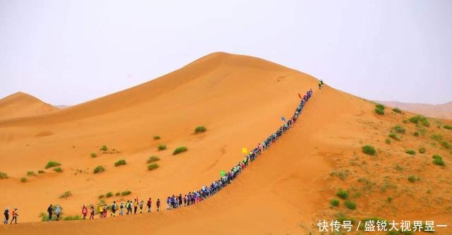 中国曾投资1个亿治理沙漠，种植上亿棵胡杨树，如今怎么样了