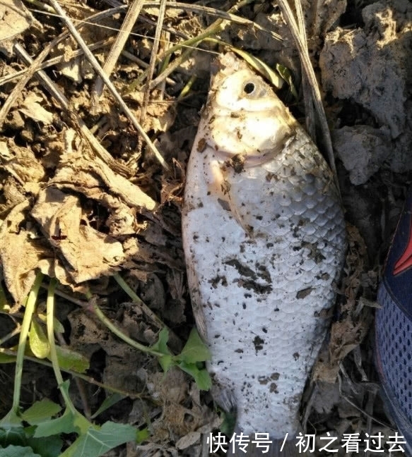 提醒:为啥等了半天都没鱼咬钩?老钓友提醒你,真的不应该“等口”