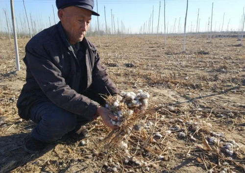  「取消」农业户口取消已提上日程，农民将面临3种选择，做好打算